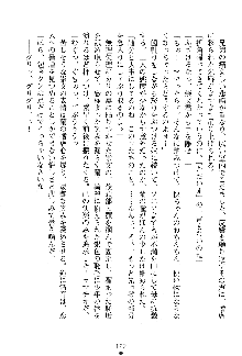 漆黒の巫女レディシャドウ 魅惑の姉妹, 日本語