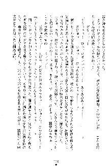 漆黒の巫女レディシャドウ 魅惑の姉妹, 日本語