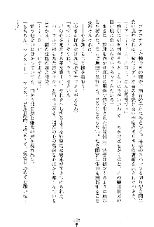 漆黒の巫女レディシャドウ 魅惑の姉妹, 日本語