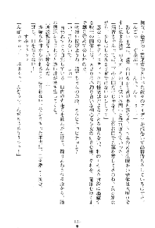 漆黒の巫女レディシャドウ 魅惑の姉妹, 日本語