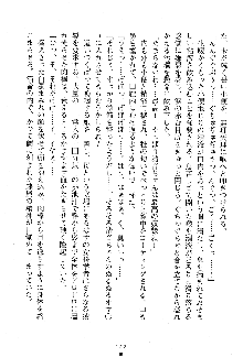 漆黒の巫女レディシャドウ 魅惑の姉妹, 日本語