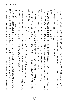 漆黒の巫女レディシャドウ 魅惑の姉妹, 日本語