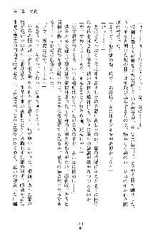 漆黒の巫女レディシャドウ 魅惑の姉妹, 日本語