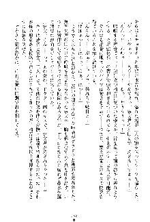 漆黒の巫女レディシャドウ 魅惑の姉妹, 日本語