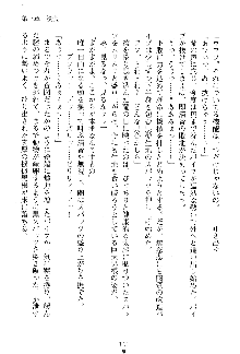 漆黒の巫女レディシャドウ 魅惑の姉妹, 日本語