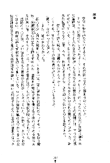 漆黒の巫女レディシャドウ 魅惑の姉妹, 日本語