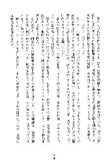 漆黒の巫女レディシャドウ 魅惑の姉妹, 日本語