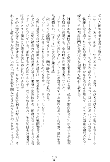 漆黒の巫女レディシャドウ 魅惑の姉妹, 日本語