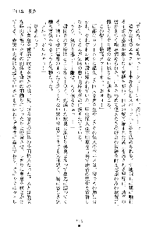 漆黒の巫女レディシャドウ 魅惑の姉妹, 日本語