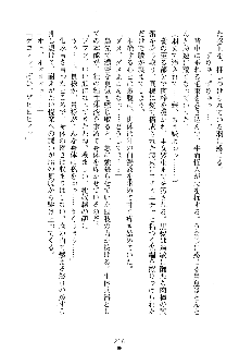 漆黒の巫女レディシャドウ 魅惑の姉妹, 日本語