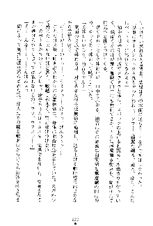 漆黒の巫女レディシャドウ 魅惑の姉妹, 日本語