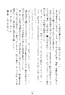 漆黒の巫女レディシャドウ 魅惑の姉妹, 日本語