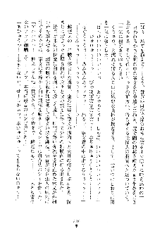 漆黒の巫女レディシャドウ 魅惑の姉妹, 日本語