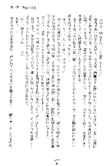 漆黒の巫女レディシャドウ 魅惑の姉妹, 日本語