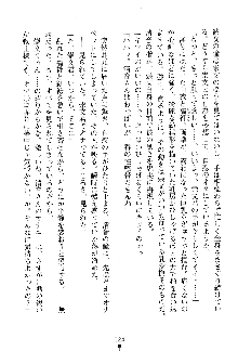 漆黒の巫女レディシャドウ 魅惑の姉妹, 日本語