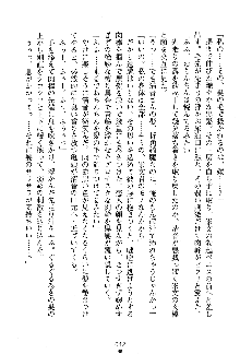 漆黒の巫女レディシャドウ 魅惑の姉妹, 日本語