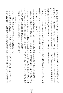 漆黒の巫女レディシャドウ 魅惑の姉妹, 日本語