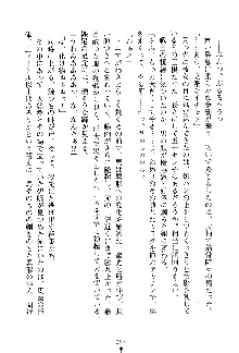 漆黒の巫女レディシャドウ 魅惑の姉妹, 日本語