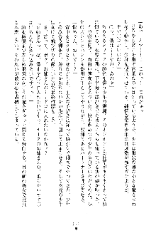 漆黒の巫女レディシャドウ 魅惑の姉妹, 日本語