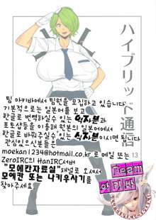 Hybrid Tsuushin vol.13, 한국어