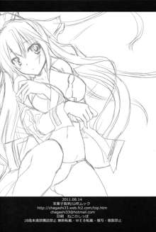 Summer Dream (Infinite Stratos) [Chinese] 【萝莉の城汉化】, 中文