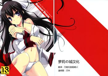 Summer Dream (Infinite Stratos) [Chinese] 【萝莉の城汉化】, 中文