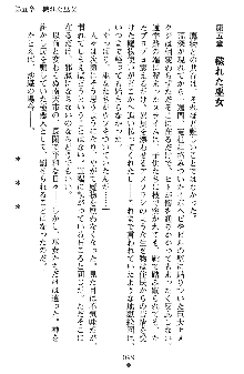 神狼の戦巫女 神凪沙織, 日本語