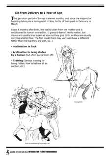 Centaur Musume de Manabu Hajimete no Thoroughbred | Learning With Centaur Girls: Introduction To The Thoroughbred, English