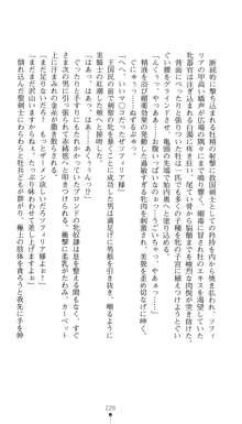 聖剣士ソフィリア 悦楽の調教呪縛, 日本語