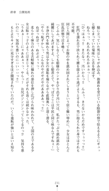 聖剣士ソフィリア 悦楽の調教呪縛, 日本語