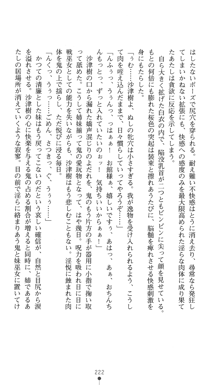 淫舞の巫女姉妹 鬼に見初められし者, 日本語