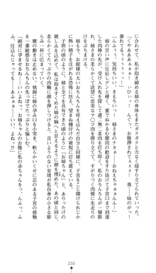 淫舞の巫女姉妹 鬼に見初められし者, 日本語