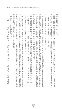 淫舞の巫女姉妹 鬼に見初められし者, 日本語