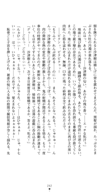 淫舞の巫女姉妹 鬼に見初められし者, 日本語