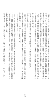 淫舞の巫女姉妹 鬼に見初められし者, 日本語