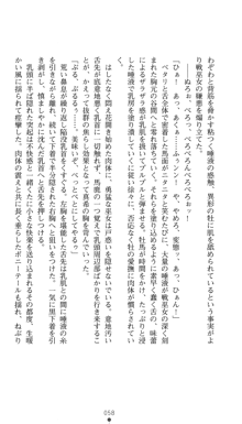 淫舞の巫女姉妹 鬼に見初められし者, 日本語