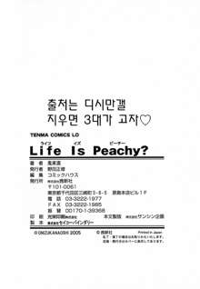 Life Is Peachy?, 한국어