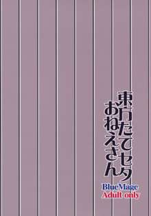 東方たてセタおねえさん, 日本語