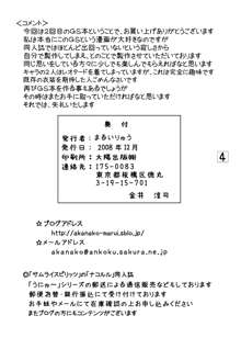 きつねと式神使い, 日本語