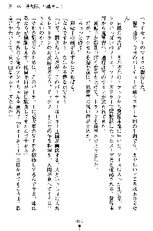 特犬捜査官みちる, 日本語