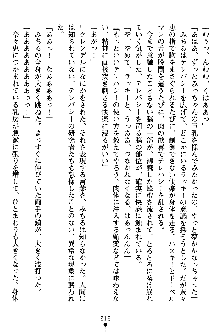 特犬捜査官みちる, 日本語