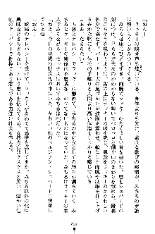 特犬捜査官みちる, 日本語