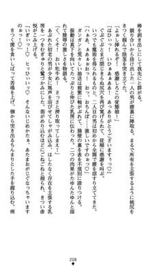 肛辱の令嬢ロレンツァ 淫悦に落ちる乙女の涙, 日本語