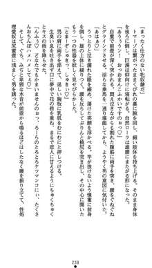 肛辱の令嬢ロレンツァ 淫悦に落ちる乙女の涙, 日本語