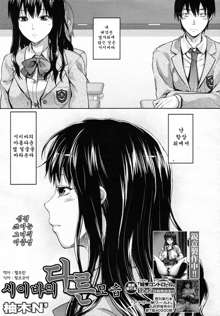 Shiibasan no Ura no Kao Ch. 1-4, 한국어