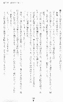 魔法戦士エリクシルナイツ －運命に繋がれし乙女たち－, 日本語