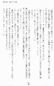 魔法戦士エリクシルナイツ －運命に繋がれし乙女たち－, 日本語