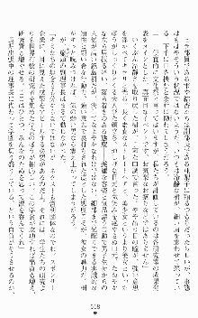 魔法戦士エリクシルナイツ －運命に繋がれし乙女たち－, 日本語