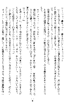 ダブル姫騎士 隷辱の王室, 日本語