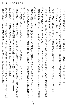 ダブル姫騎士 隷辱の王室, 日本語